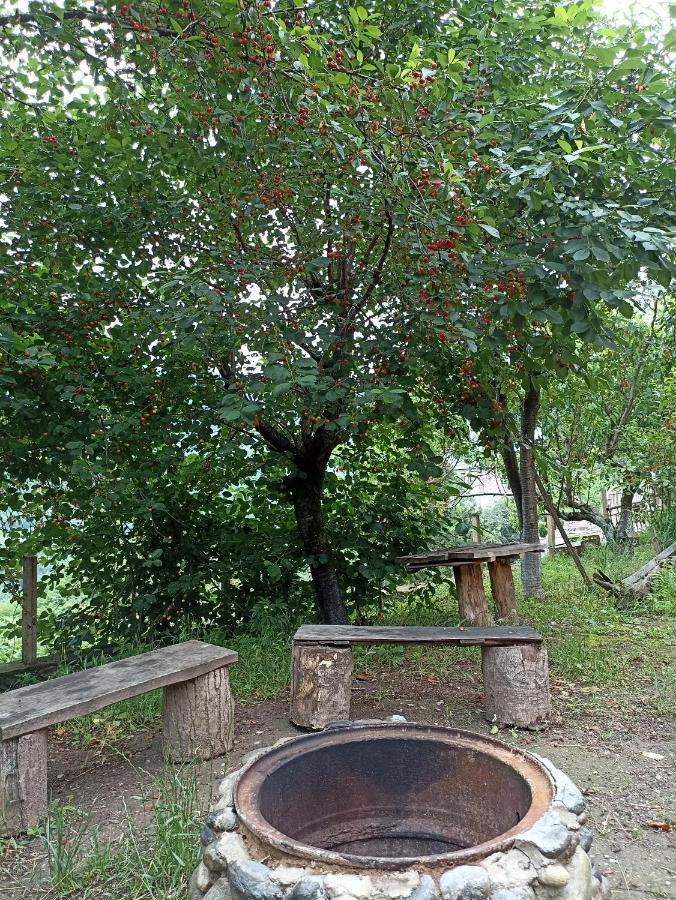 Green Garden Ijevan Extérieur photo
